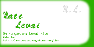 mate levai business card